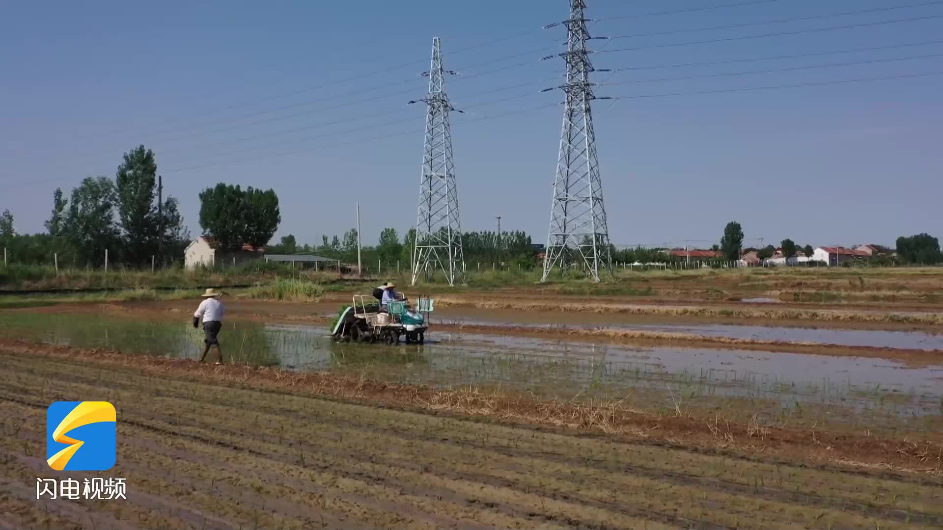 邹平：特色种植代替传统种植 140亩水稻插秧忙起来