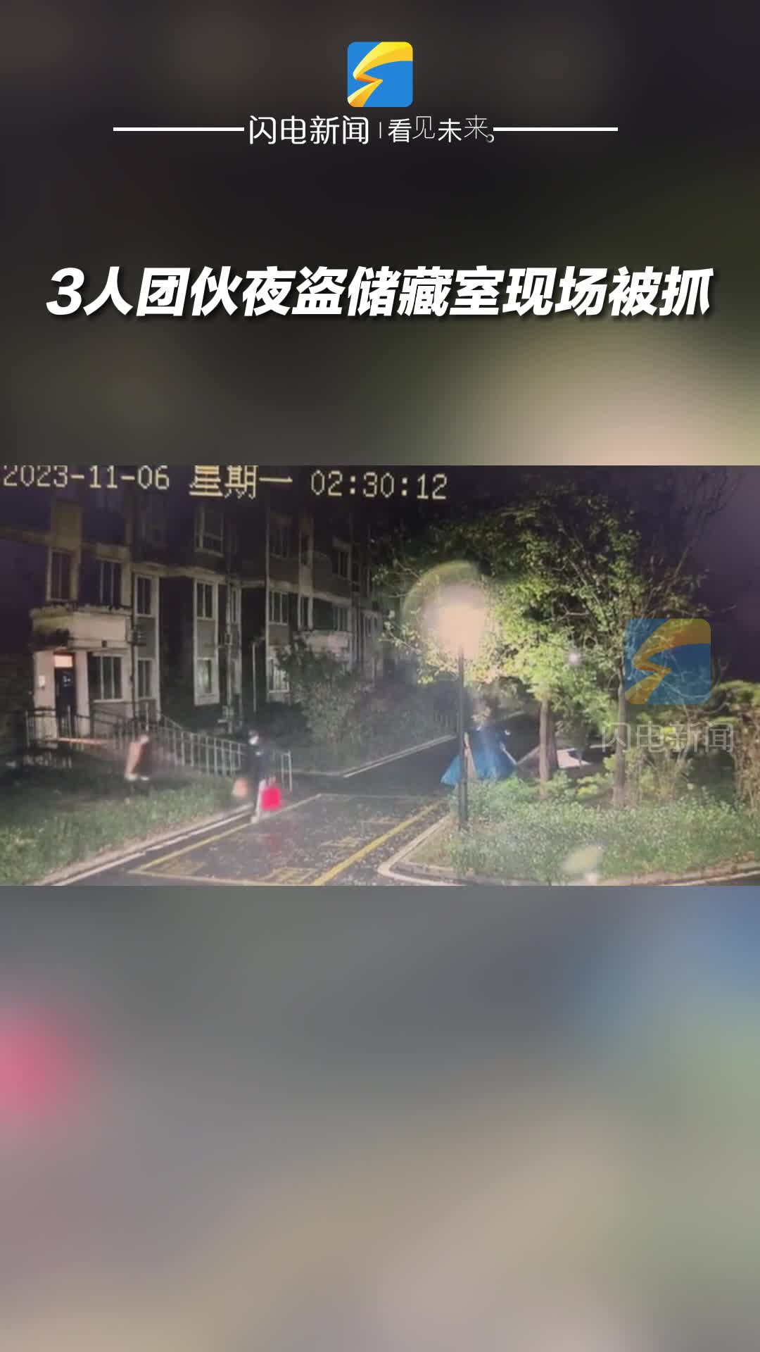 邹平：3人团伙夜盗储藏室现场被抓