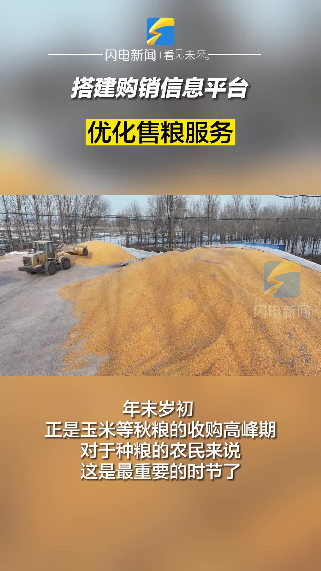 阳信：搭建购销信息平台 优化售粮服务