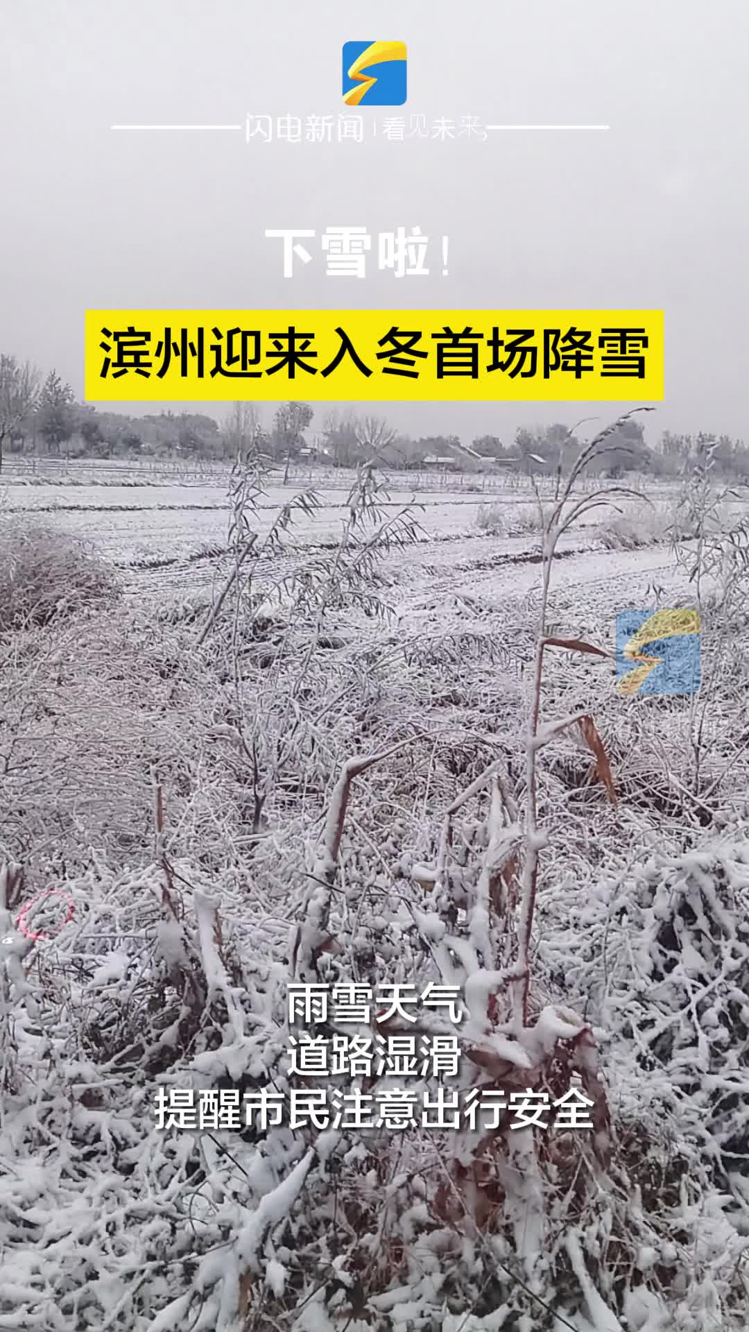 下雪啦！滨州迎来入冬首场降雪