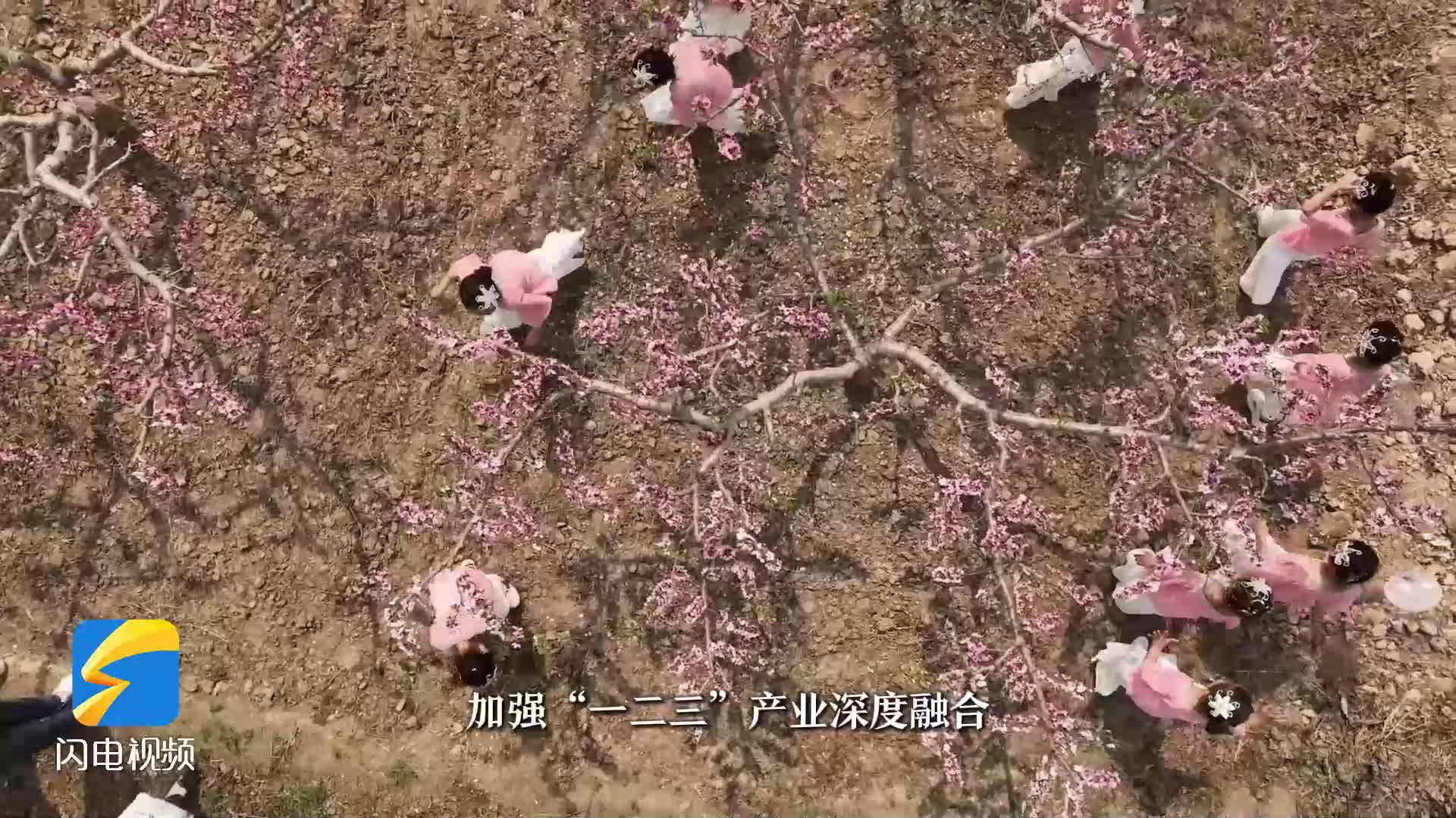 春游齐鲁｜无棣：共赏春天之美 同赴“桃花之约”