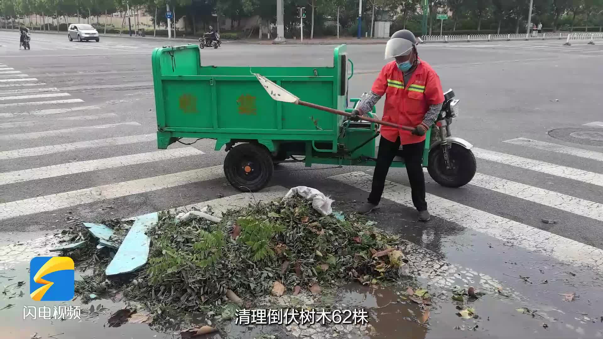 滨州：暴雨冲刷后残枝落叶多 相关部门连夜开启清理模式