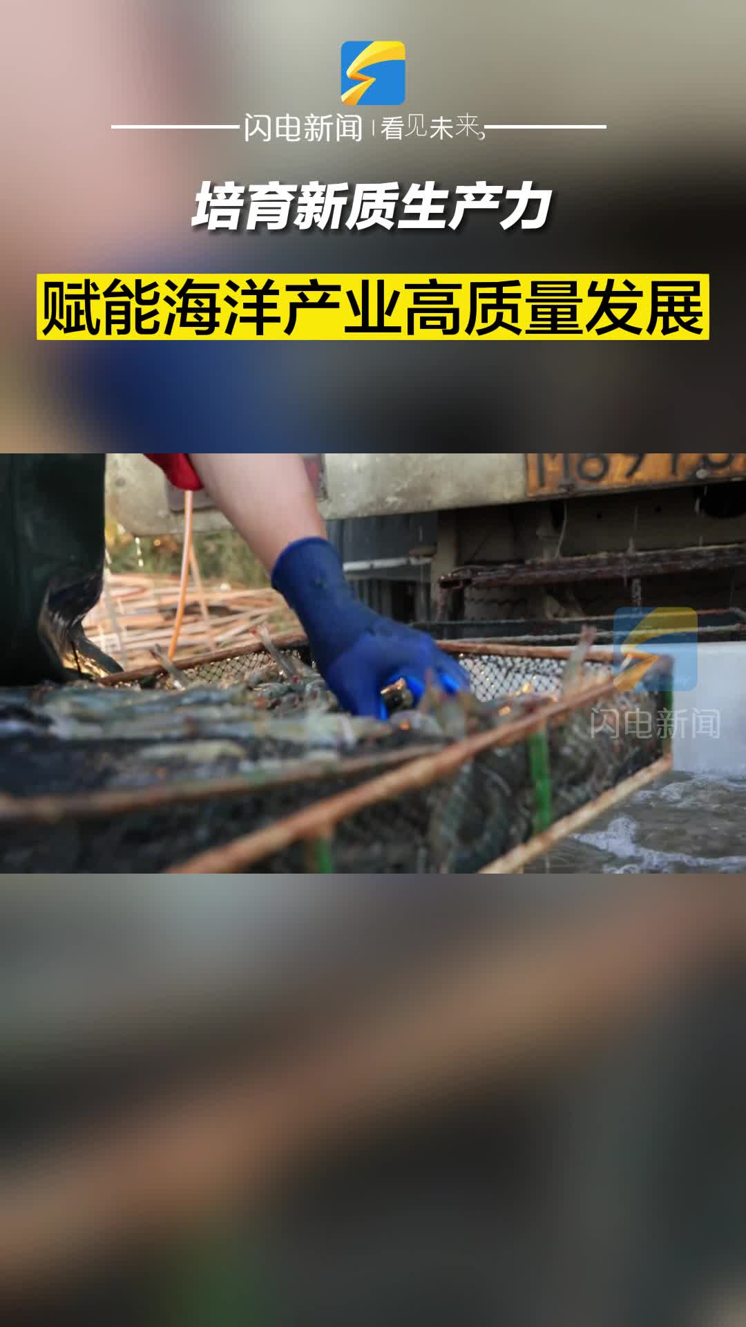 滨州沾化：培育新质生产力 赋能海洋产业高质量发展