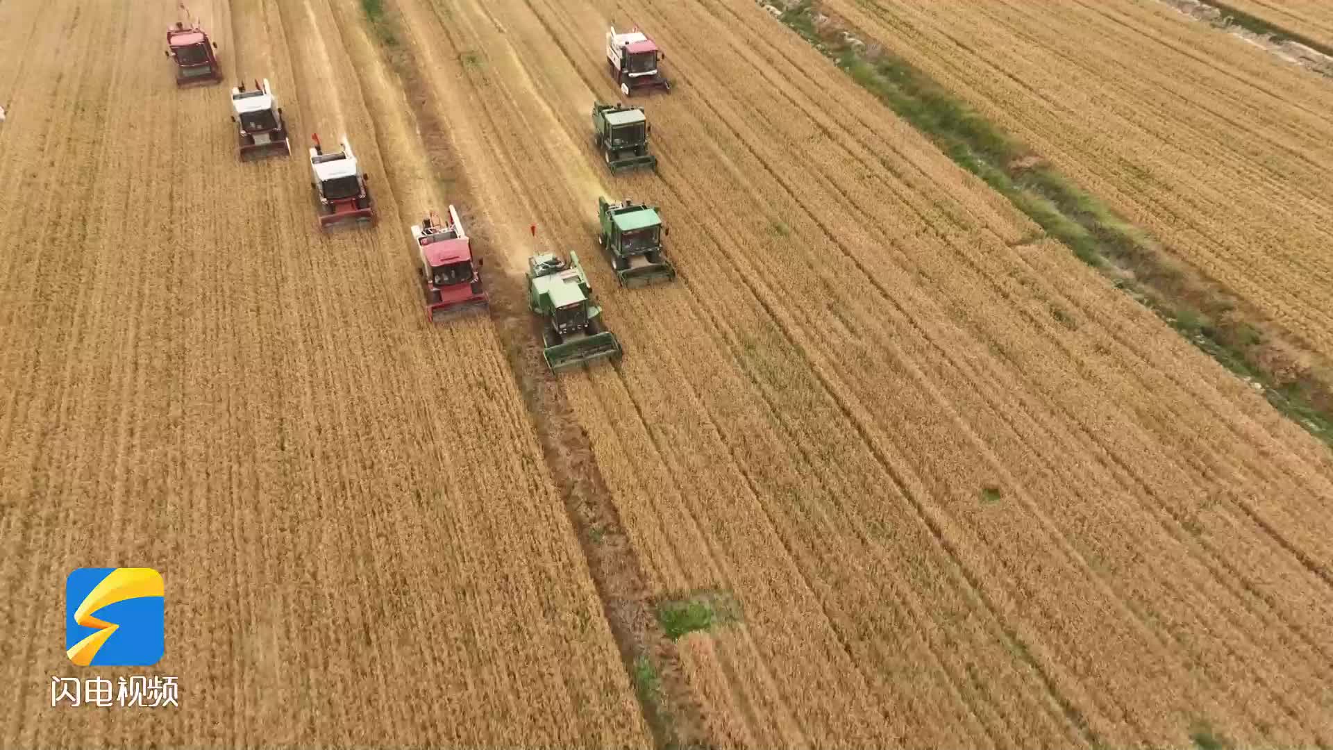 无棣：选育良种由种适地 今年盐碱地有望实现吨粮田目标