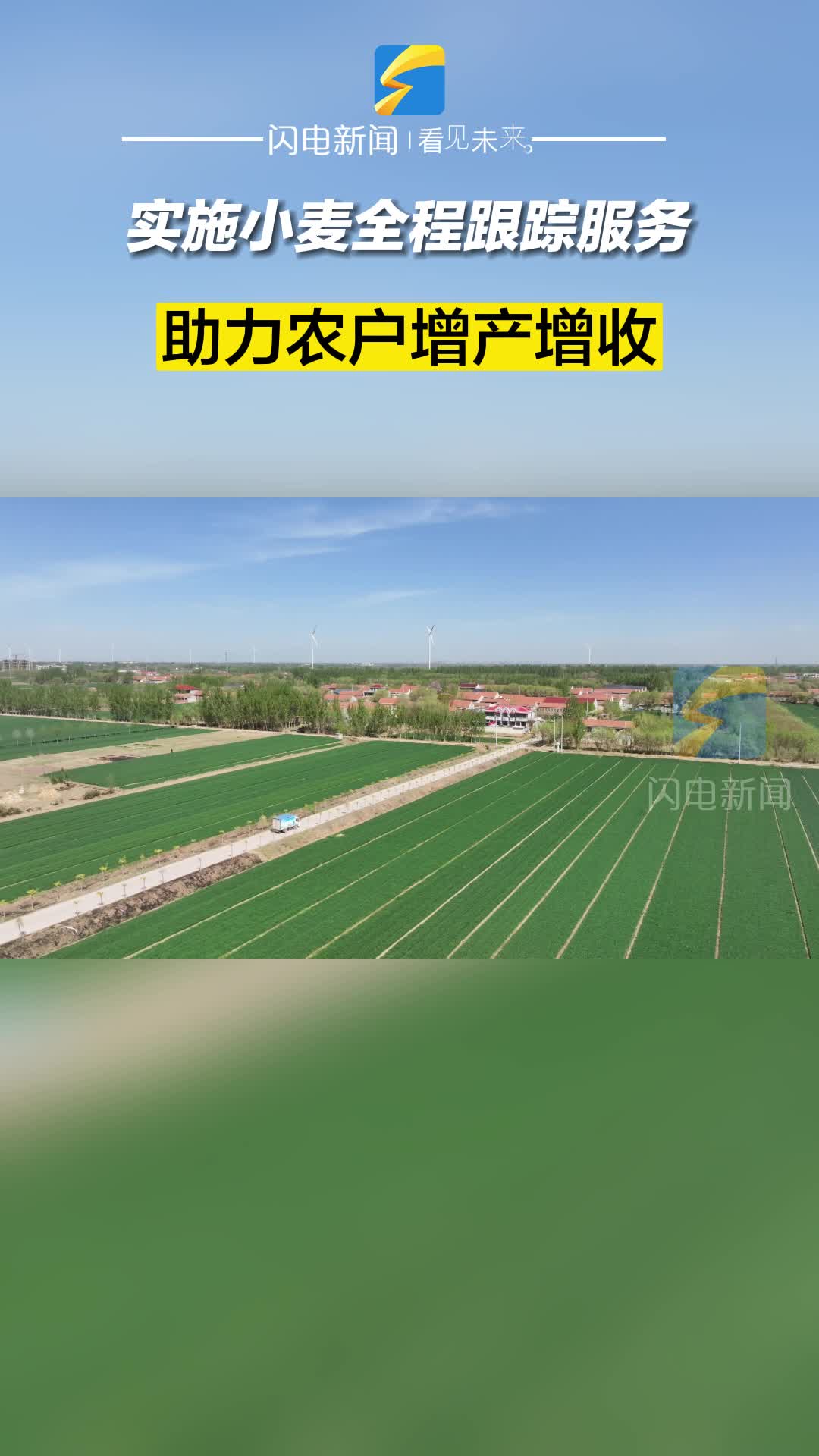 阳信：实施小麦全程跟踪服务 助力农户增产增收