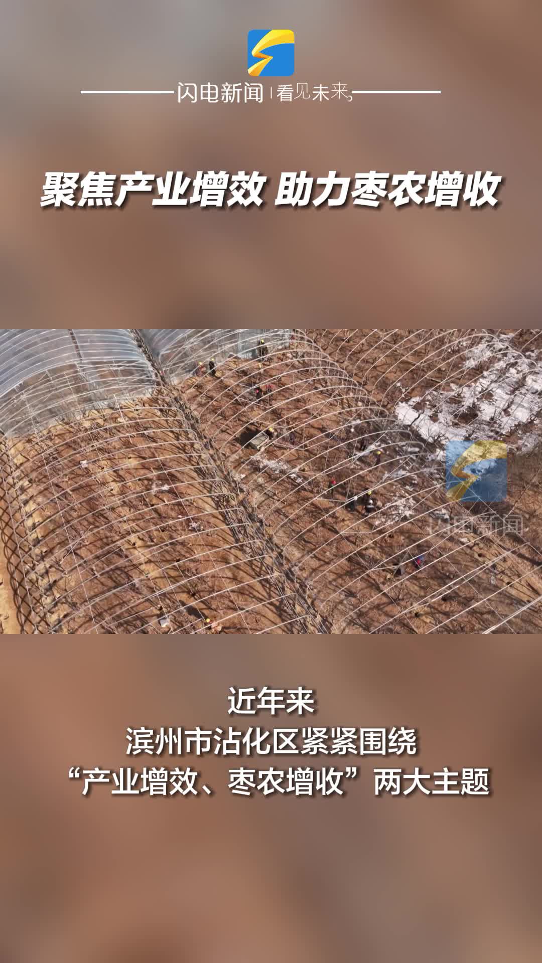 滨州沾化：聚焦产业增效 助力枣农增收