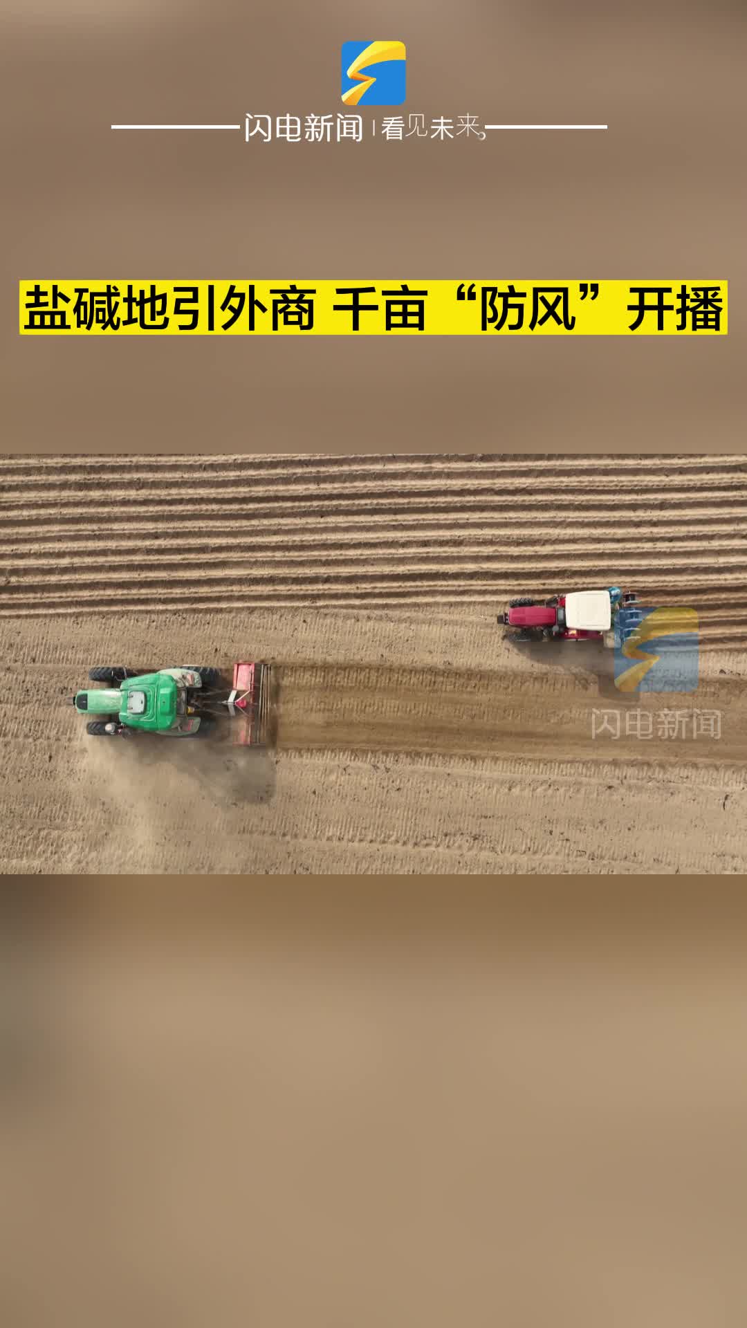 滨州无棣：盐碱地引外商 千亩“防风”开播