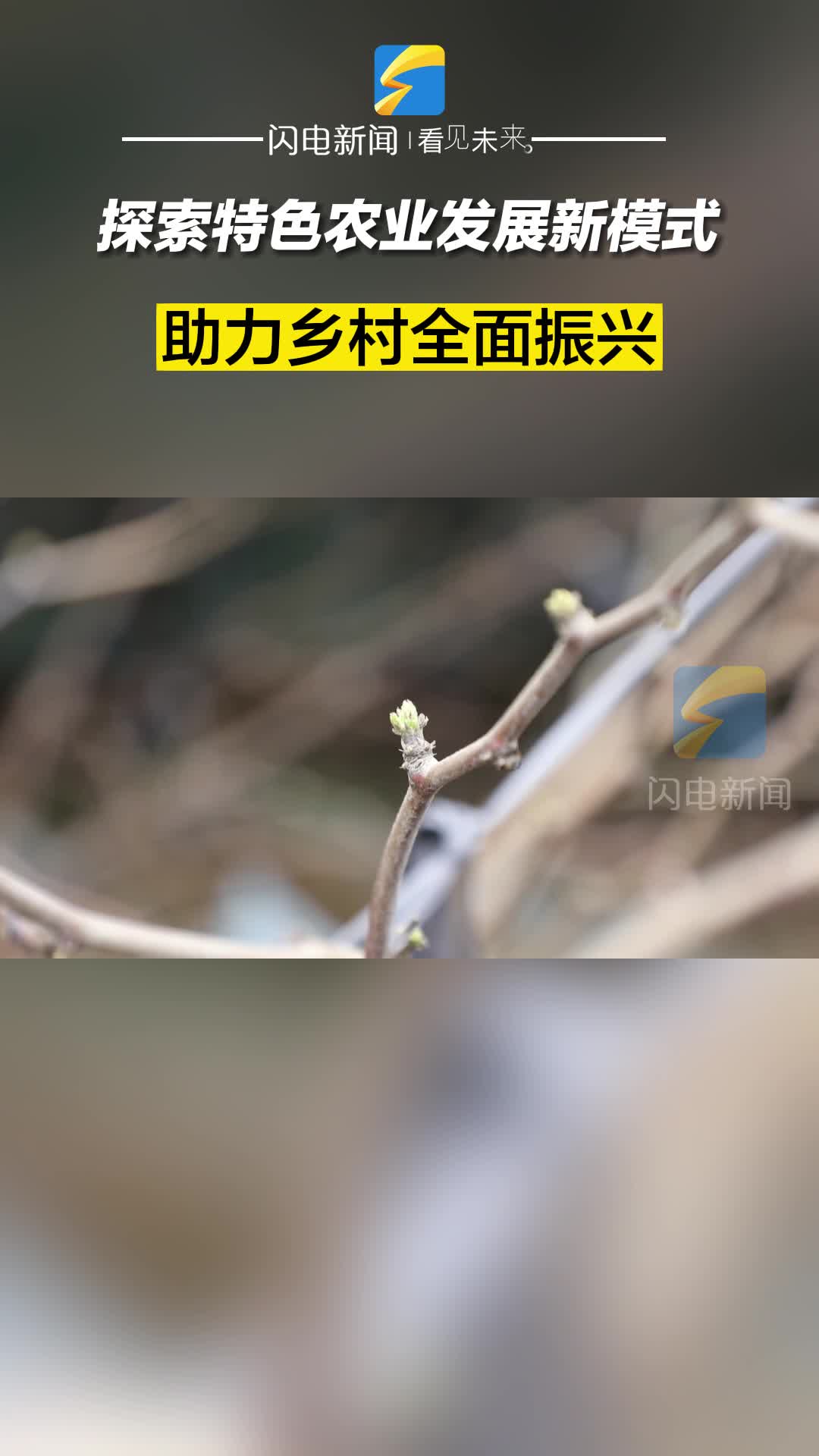 滨州沾化：探索特色农业发展新模式 助力乡村全面振兴