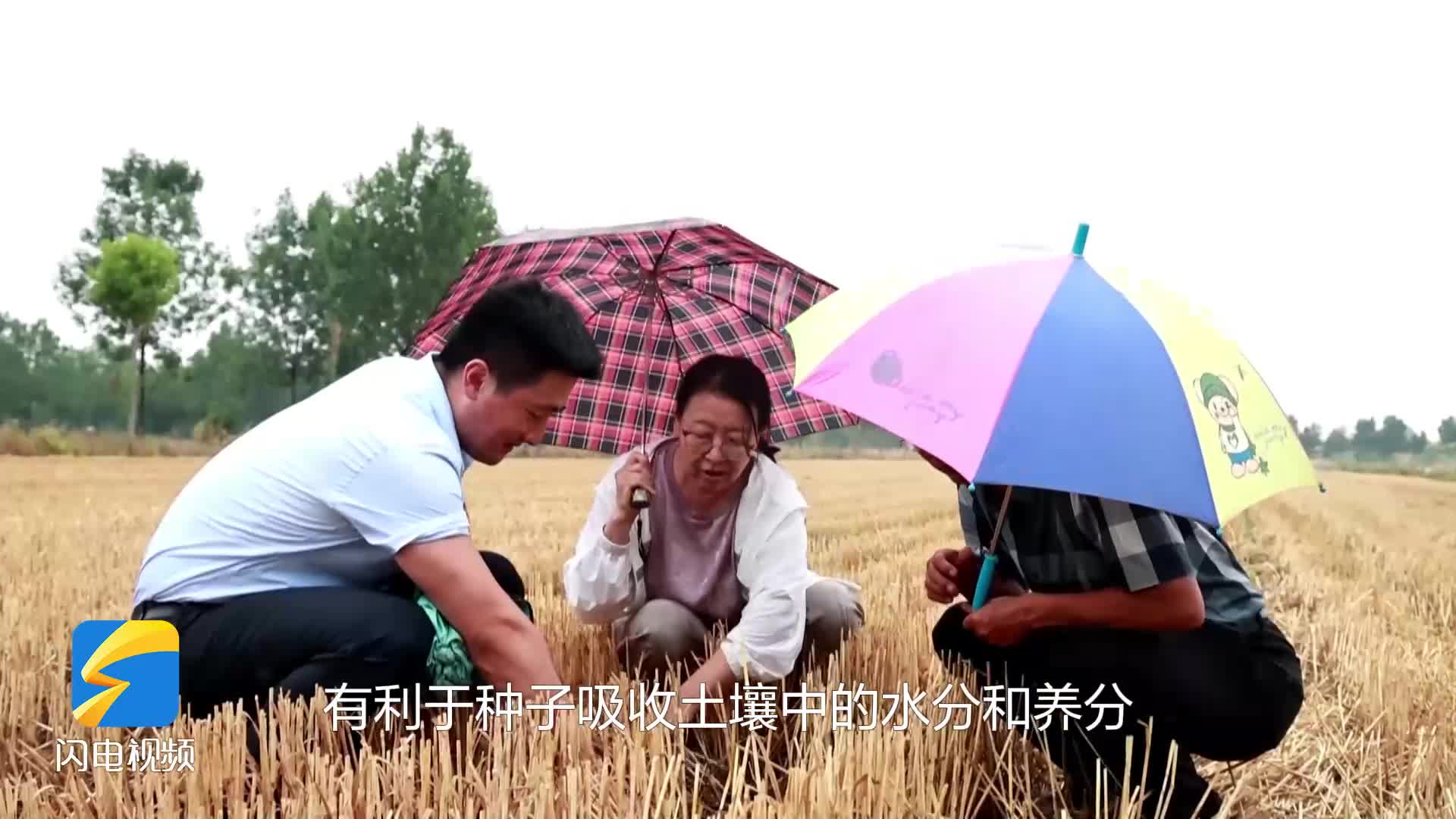 无棣：今日出现雷雨天气 旱情得到有效缓解