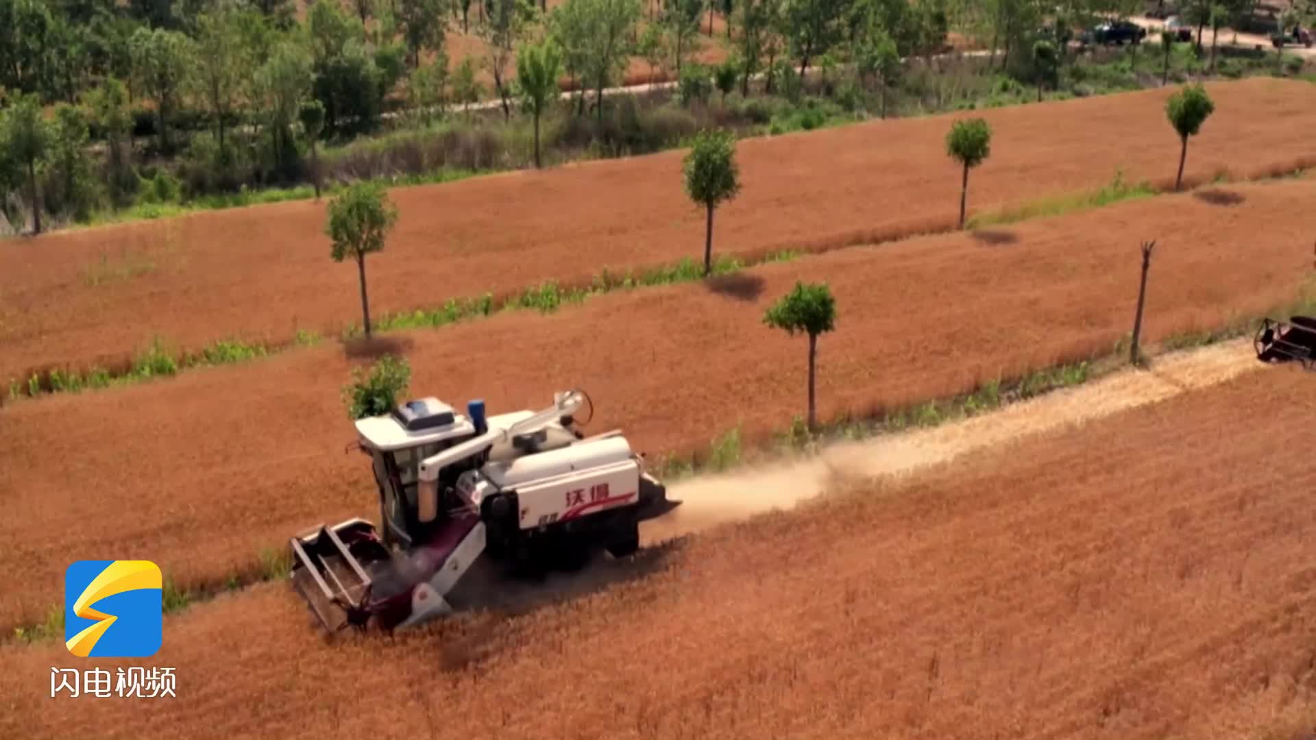 沾化：多举措改良耕地 耕地面积实现“三连增”