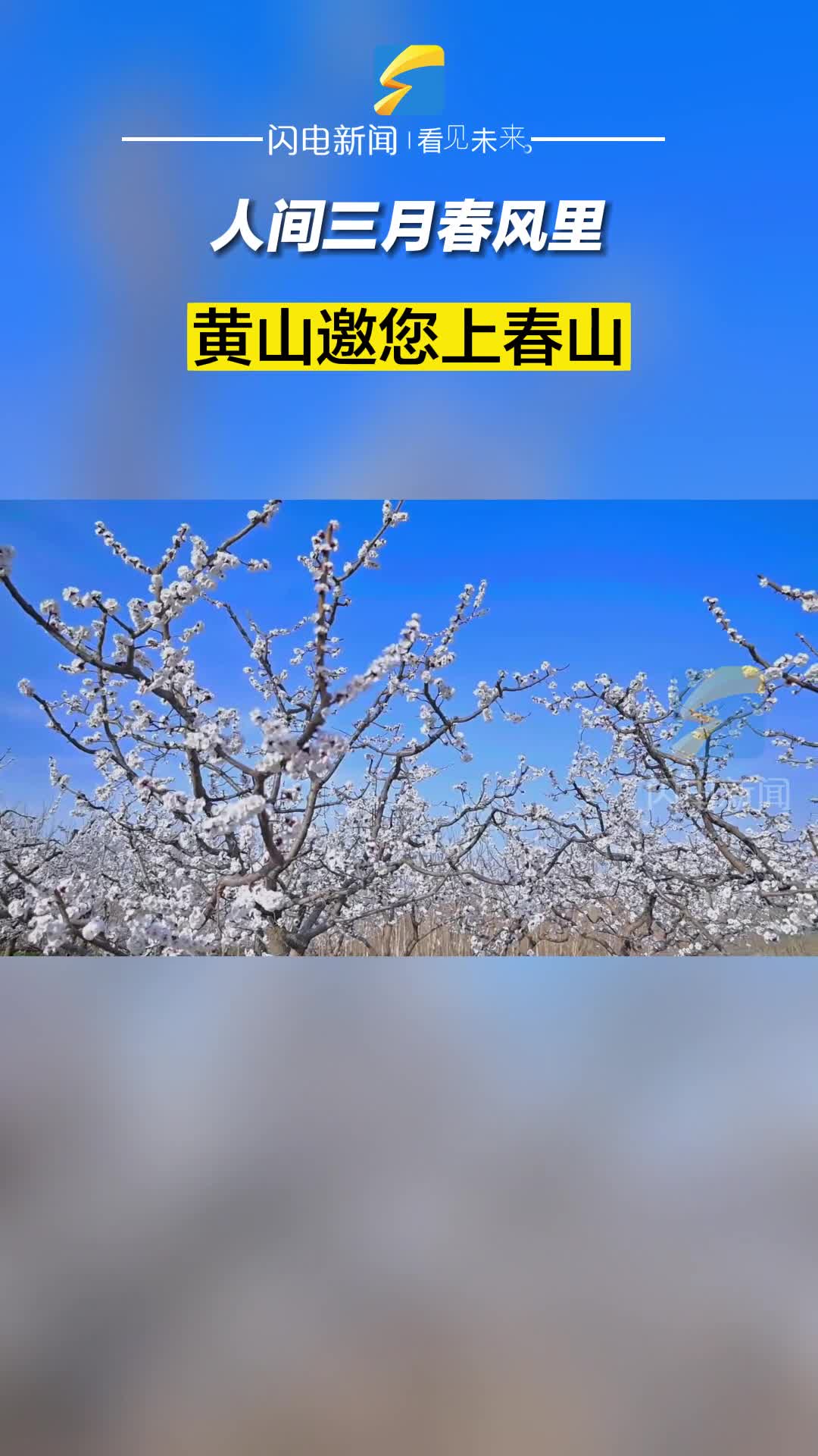 邹平：人间三月春风里 快来开启一趟黄山街道吃喝玩乐之旅