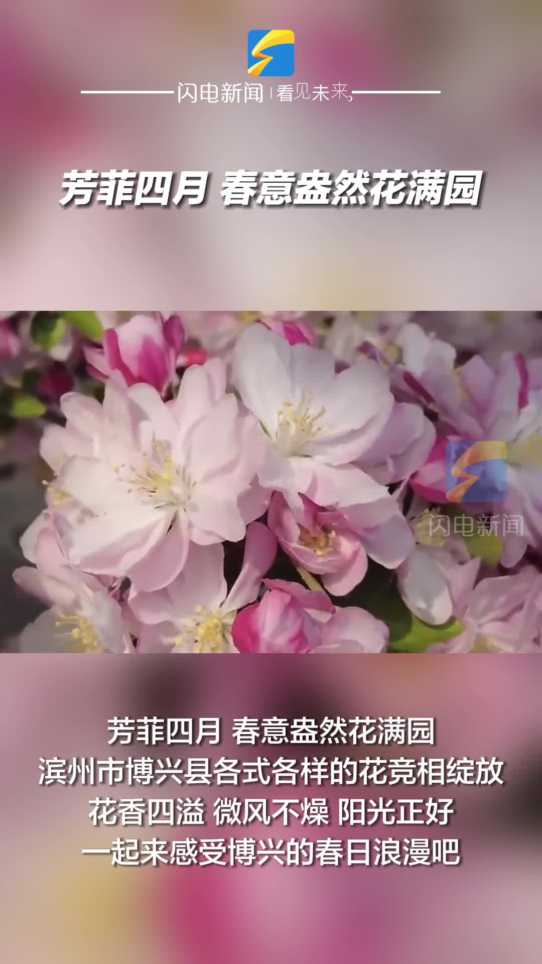 博兴县：芳菲四月 春意盎然花满园