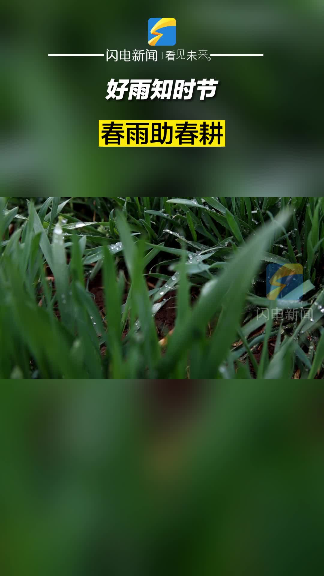 滨州无棣：好雨知时节 春雨助春耕