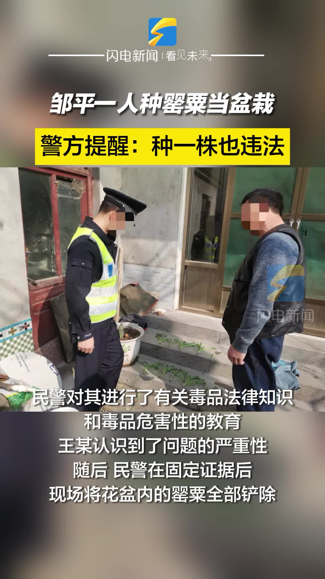 邹平一人种罂粟当盆栽被依法处罚