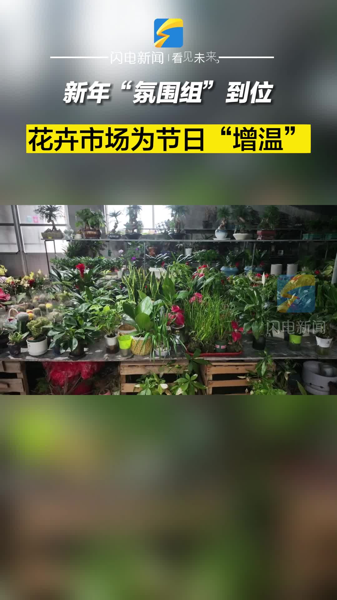 滨州阳信：新年“氛围组”到位 花卉市场为节日“增温”